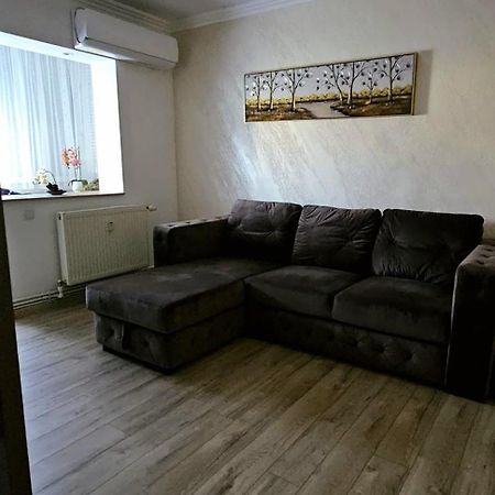 Rose Residence Bodzavásár Kültér fotó